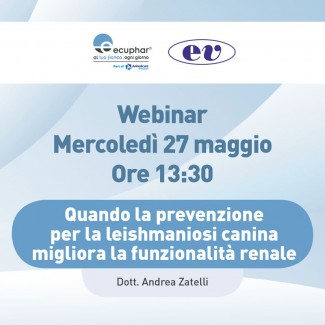 Quando la prevenzione per la leishmaniosi canina migliora la funzionalità renale Quando la prevenzione per la leishmaniosi canina migliora la funzionalità renale
