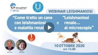 Webinar su Leishmaniosi