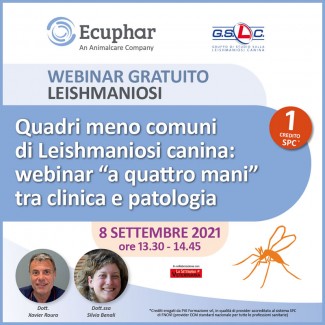 Terzo appuntamento di Webinar live sulla leishmaniosi canina anno 2021